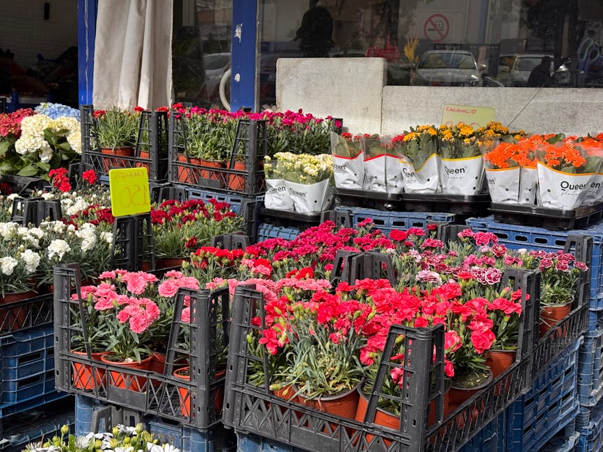 https://floristfinsbury.co.uk/blog/same-day-flower-delivery-finsbury-ec1-real-cost/
